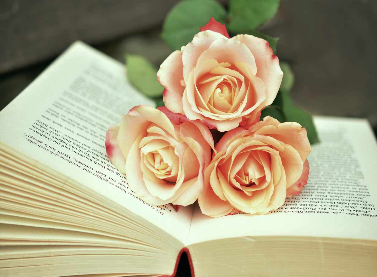 Geöffnetes Buch mit Rosen