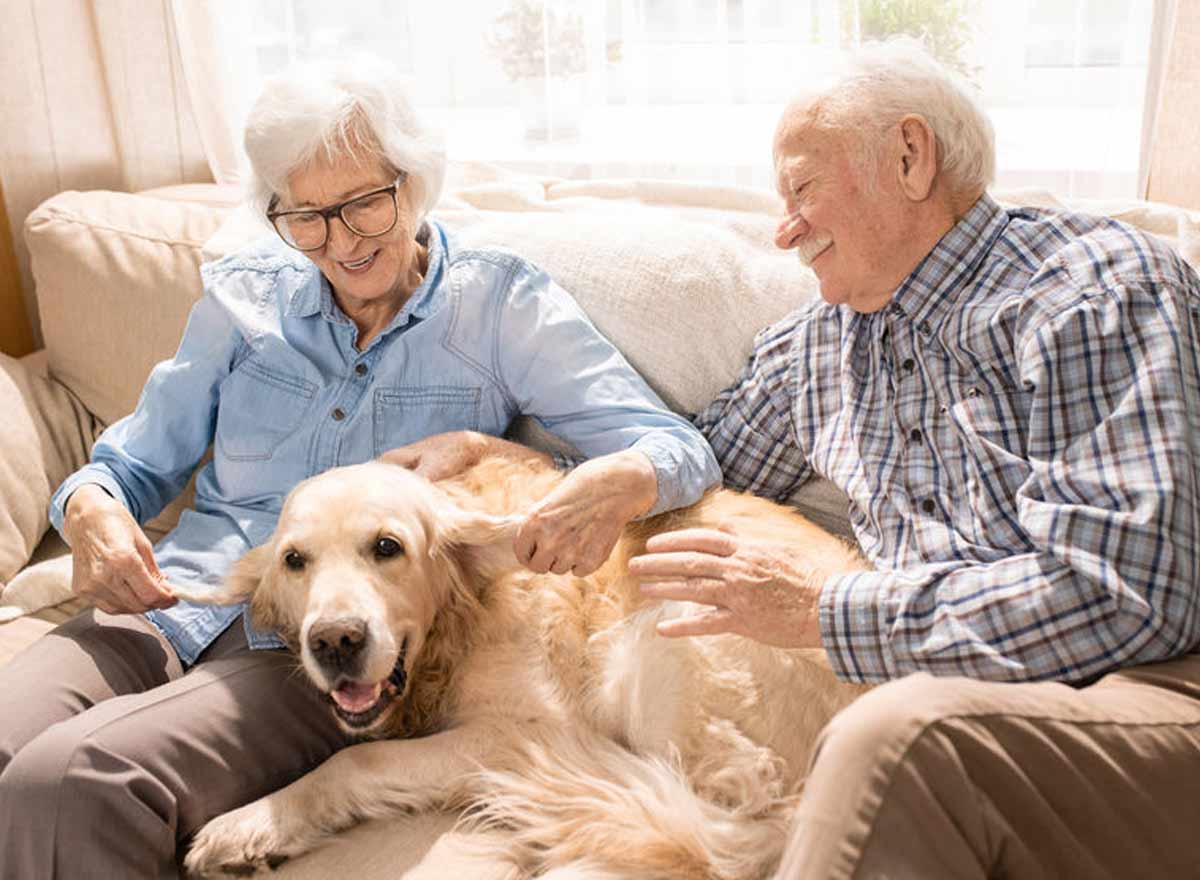 Senioren mit Hund im Glück