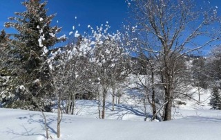 Blog Christines Seniorenbetreuung Winterlandschaft