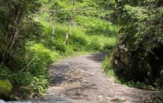 Rundgang um den Lauenensee