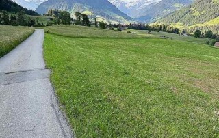 Spazierweg in Schönried (Gstaad)