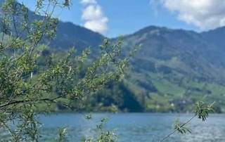 Ausblick auf den Lauerzersee