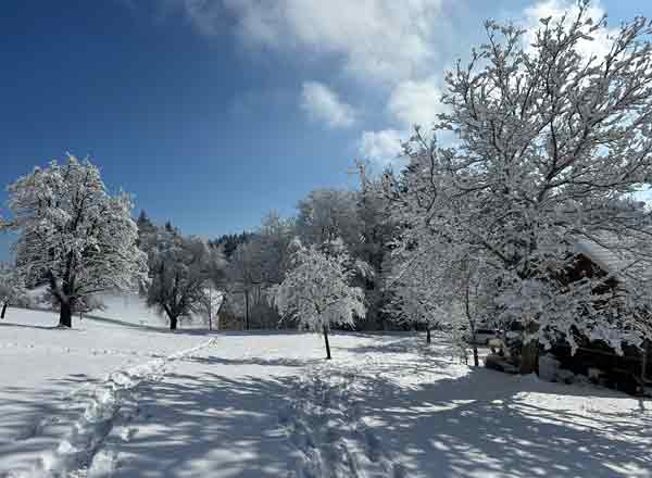 christines-seniorenbetreuung-blog-winter Winterlandschaft Heiden 2025